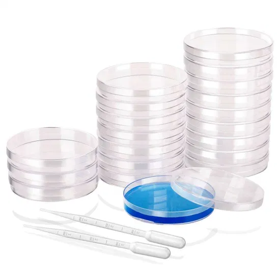 Plastic Transparent Tc Treated with Lid Bacteria Dishes Cell Culture Petri Dish