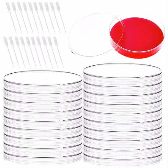 Disposable Plastic 90X15mm Petri Dishes Cell Culture Container 9 Cm Petri Dish