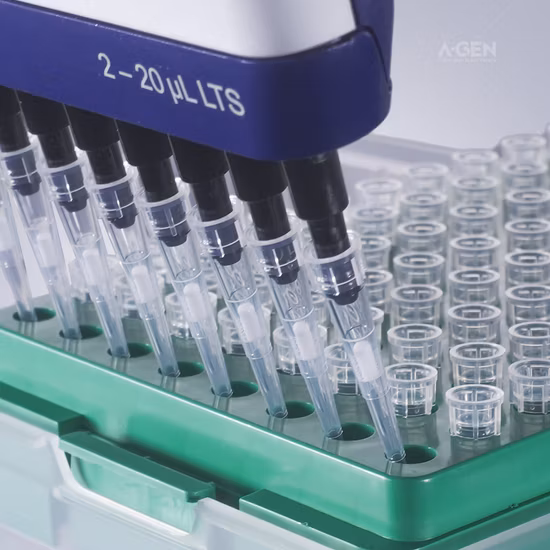 Manufacture Wholesale Laboratory Robotic Nature Mechanical Electronic Pipette Filter Tips with Aerosol Barrier for Eppendorf lab